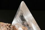 Glassy Selenite Crystal on Matrix - Naica Mine, Mexico #325085-1